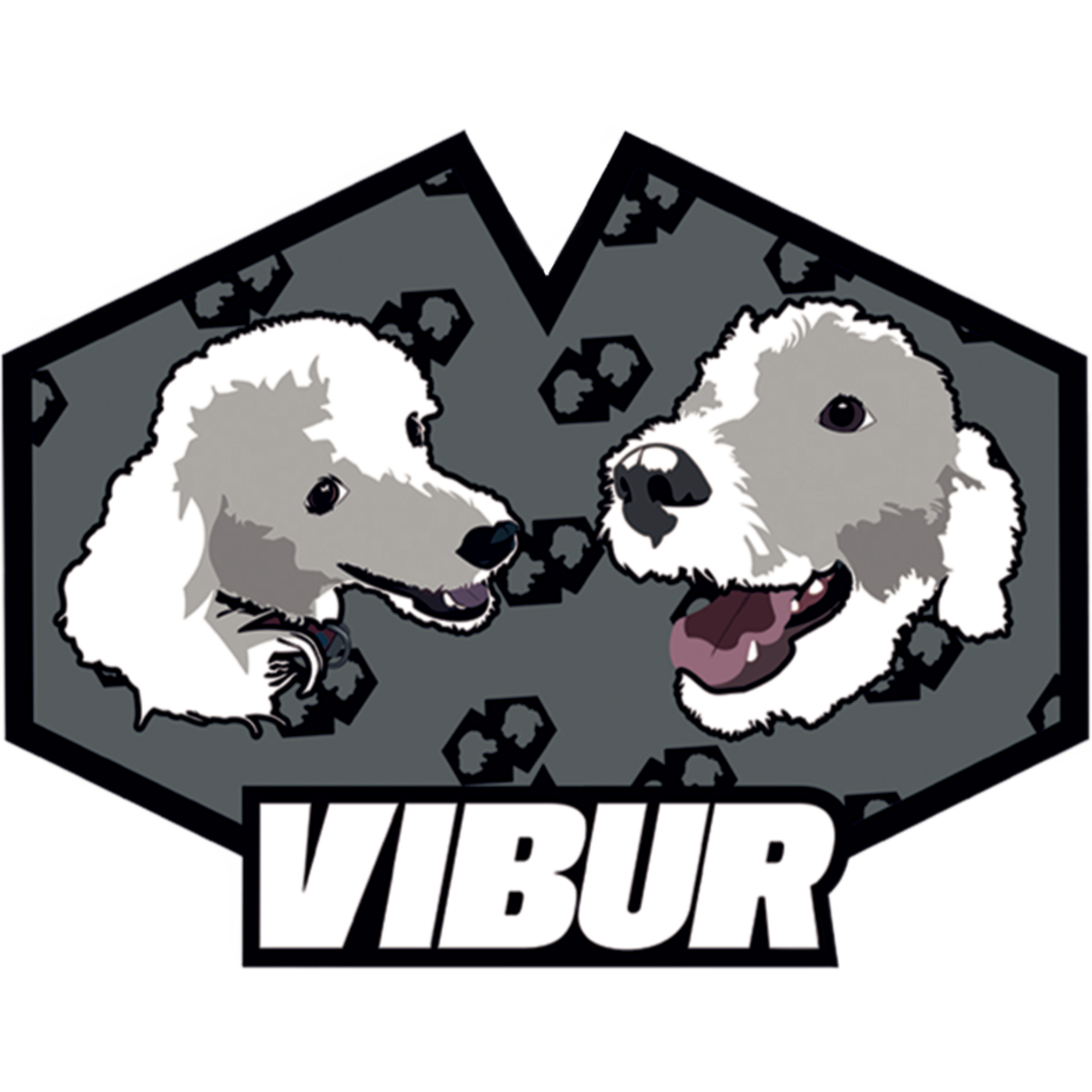 logo-VIBUR.png